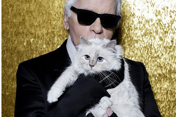Choupette Lagerfeld - Instagram