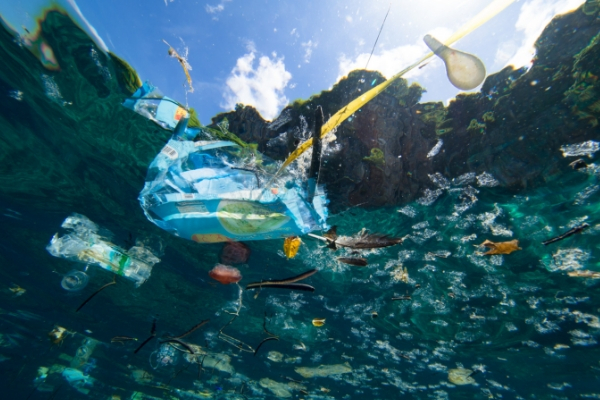 Les dégâts causés par le plastique (Istock)